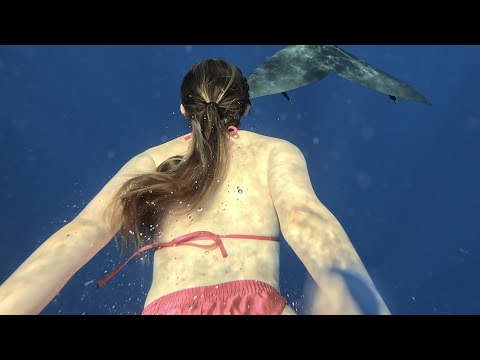 Видео: Финальный влог: Маврикий, Дубай