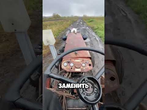 Видео: Я все еще жив в этом прекрасном месте #vlog #blog #live #shorts