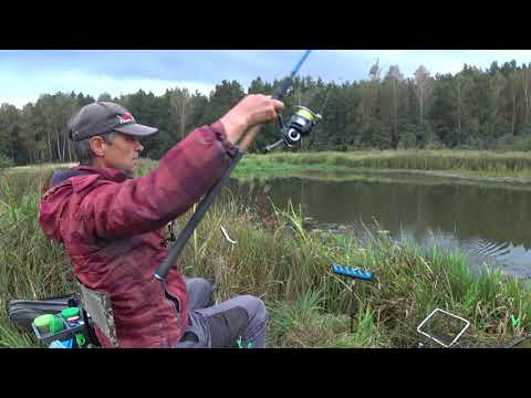 Видео: Фідерна рибалка на річці Уж. Кльов уклейки на опариша.