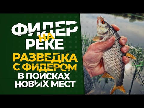 Видео: С фидером на реке. Поиск новых мест.