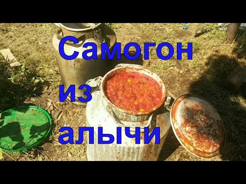 Видео: Самогон из алычи. Фляга на костре.