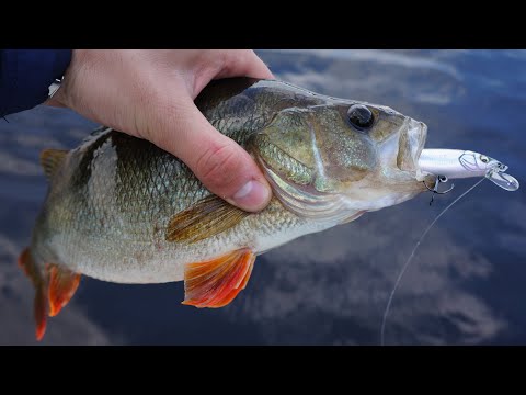 Видео: Сплав по реке в грозу. Рыбалка на воблеры. Megabass Vision 95, Smash minnow 110SP, Imakatsu Riprizer
