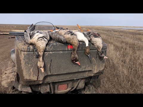 Видео: ОТКРЫТИЕ ВЕСЕННЕЙ ОХОТЫ 2023. охота на гусей и селезня