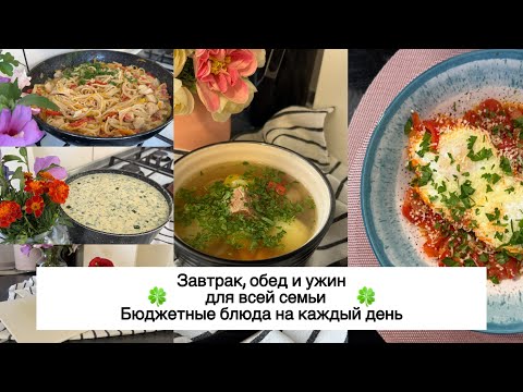 Видео: 🥘 БЮДЖЕТНОЕ МЕНЮ на каждый день 🍅 ПРОСТЫЕ БЛЮДА 🥕 МЕНЮ для всей семьи 🥗 ШУРПА 🍲 ШАКШУКА 🍳 