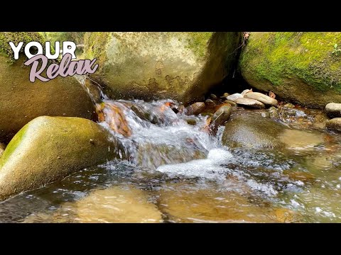 Видео: Звуки воды снимут Ваш стресс и помогут уснуть за считанные минуты!