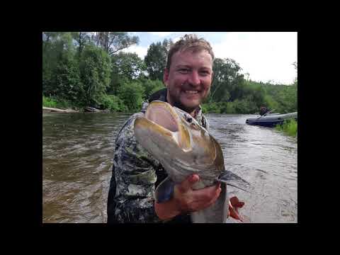 Видео: Хабаровский край. Удыльский заказник. Рыбалка на реках Пильда и Саласу. Таймень и ленок.