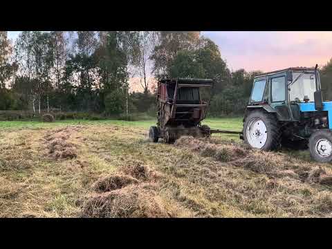 Видео: Сенокос в сентябре 2025
