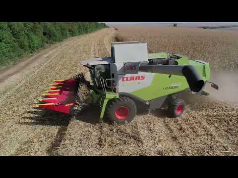 Видео: 🇧🇬4K Жътва на Царевица с Комбайн CLASS LEXION 660 + Olimac DRAGO 2