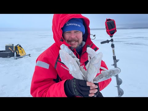 Видео: За бершом на Горе море.
