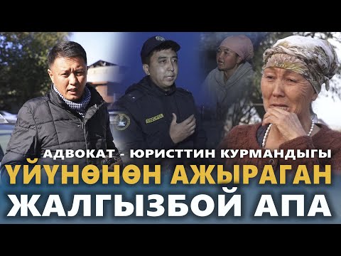 Видео: Үйүнөн ажыраган АЛСЫЗ АПА | Адвокат - юристтин курмандыгы | Кара-Суу | Улукбек Карыбек уулу