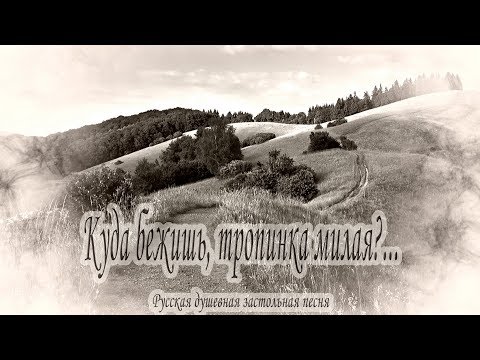 Видео: КУДА бежишь, ТРОПИНКА милая. Споёшь и смоешь всю печаль на душе // @RatianaGR
