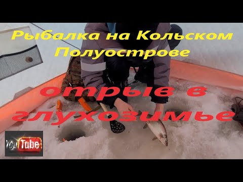 Видео: Рыбалка на Кольском Полуострове. Рыбалка в черте города Мончегорск. . Озеро Имандра.