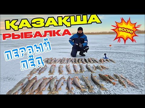 Видео: ПЕРВЫЙ ЛЕД РИЗА ҚЫЛДЫ💪 БІР ОЙЫҚТАН 6-7 БАЛЫҚ, ЖҮГІРІП ШАРШАДЫМ🔥💥🦈🦈🦈🦈