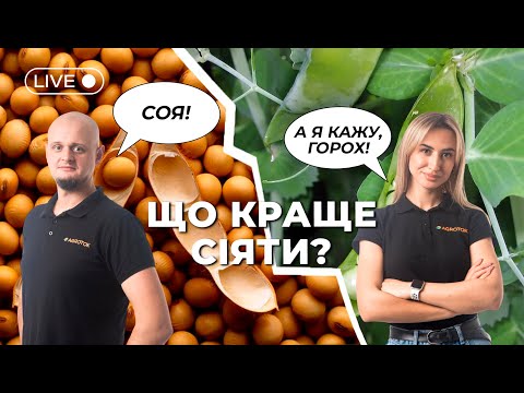 Видео: СОЯ 🫘 ЧИ ГОРОХ 🫛: що краще сіяти?
