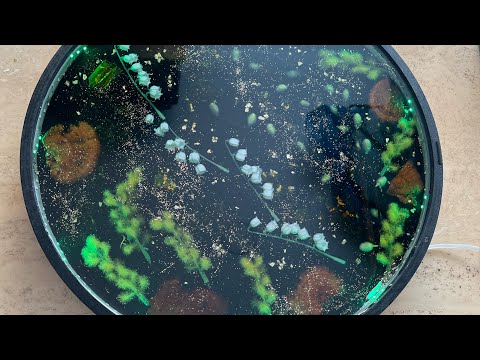 Видео: Заливаем смолой столик с подсветкой и цветами.