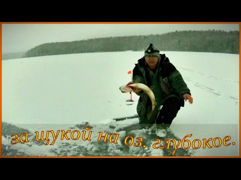 Видео: ЗА ЩУКОЙ НА оз. ГЛУБОКОЕ . РАЗВЕДКА ОЗЕРА. ЗВУКОВОЙ СИГНАЛИЗАТОР ЖЕРЛИЦЫ.