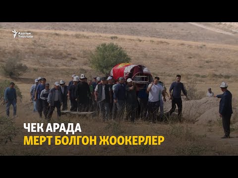 Видео: Чек арада мерт болгон жоокерлер