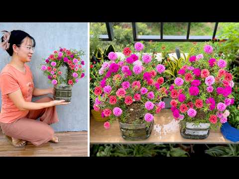 Видео: Небольшой сад, полный цветов, с простыми методами посадки. Креативная посадка для жарких дней