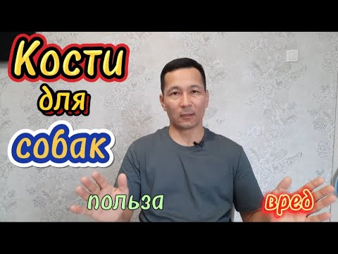 Видео: 11. КОСТИ для СОБАК. Польза и вред костей для собак.