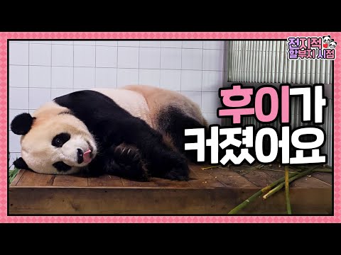 Видео: Эп.237: Просто малыш возле Kang Bao...🍼 Ai, Le, Ru, Hu Baby Baos