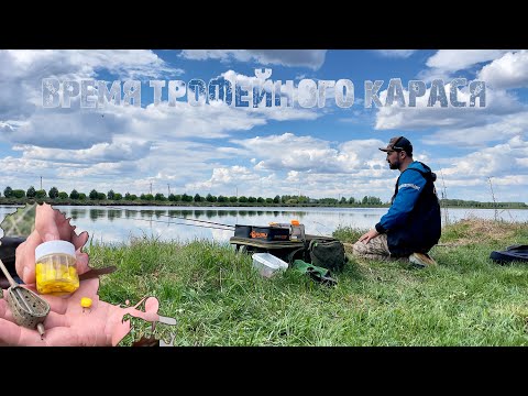 Видео: Время ТРОФЕЙНОГО карася | поисковый  FLAT FEEDER