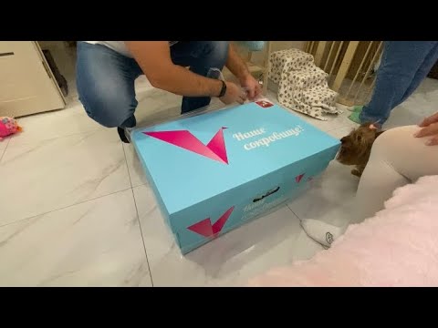 Видео: День выписки. Коробка для новорожденных от Собянина.