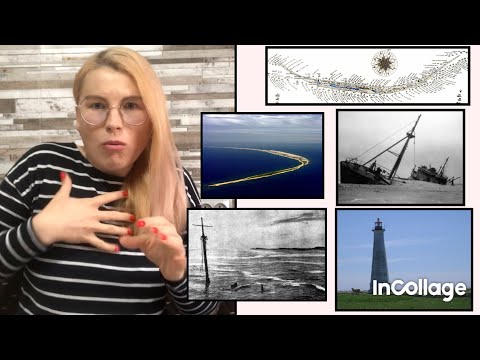 Видео: 70-лет назад ученые высадились на необитаемый остров. От увиденного у них были мурашки по коже