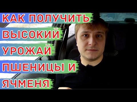 Видео: Схема питания для пшеницы и ячменя. Минеральные удобрения при посеве. Листовые подкормки.