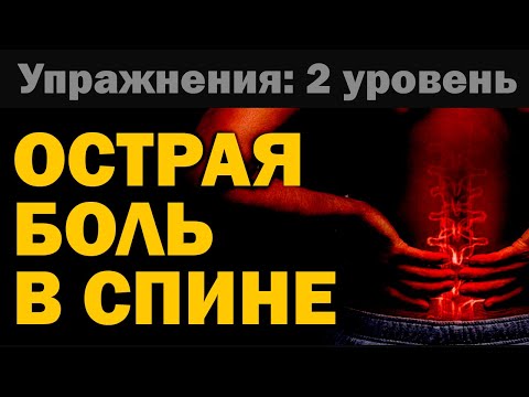 Видео: Упражнения при острой боли в спине