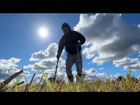 Видео: КОП С X-TERRA PRO НА ВЫБИТОМ ПОЛЕ! METAL DETECTING