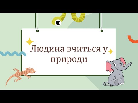 Видео: Людина вчиться у природи