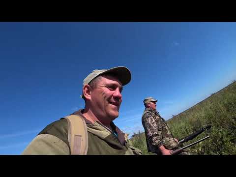 Видео: Продолжаем рыбачить и отдыхать.  ( Вторая часть. )