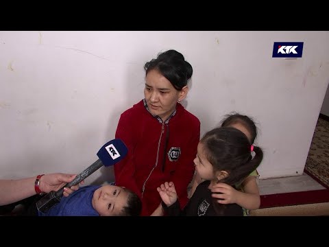 Видео: Дау-дамайсыз: Жанеркенің жанайқайы