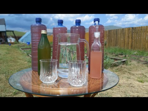 Видео: Зэрлэг гишүүний сироп (Бүтэн)