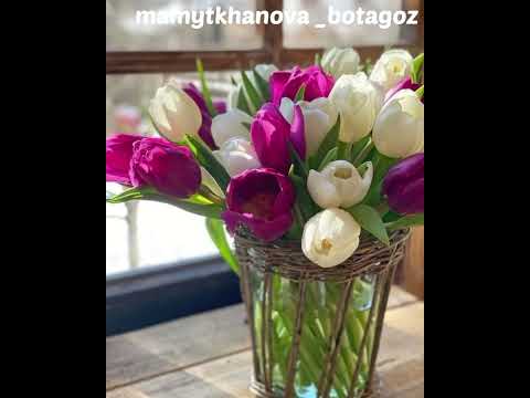 Видео: Көшбасшылықтың сенде қай қасиеті бар? #рекомендации #capcut #көшбасшы #лидер