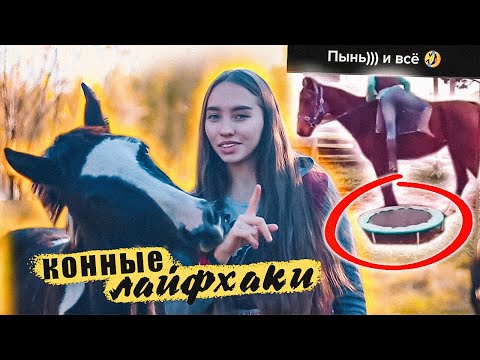 Видео: КОННЫЕ ЛАЙФХАКИ / Топ 10