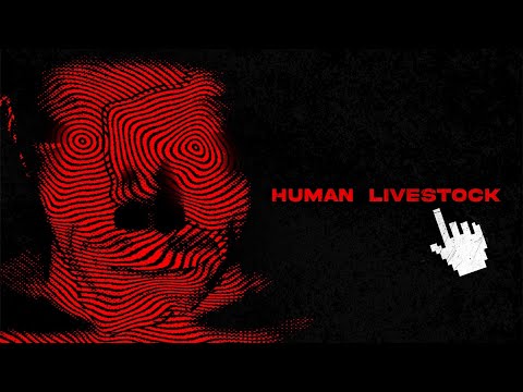 Видео: Тревожные сайты даркнета