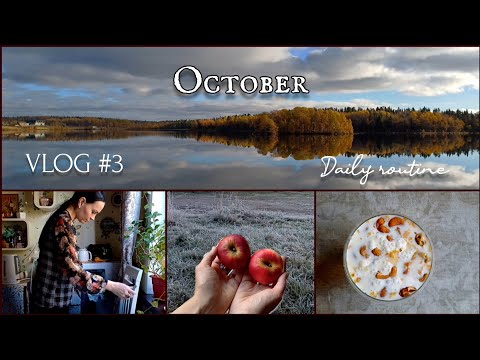 Видео: 🗓 October VLOG #3 🍁 Повседневная РУТИНА | Тихий и спокойный ВЛОГ | OZON | ОКТЯБРЬ | УЮТ