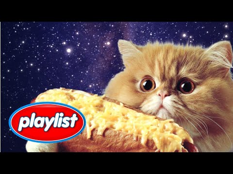 Видео: [playlist][cafe] Плейлист, который тает, как сыр 🧀 | groove pop · cafe mood #БезРекламы