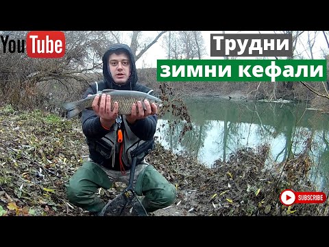 Видео: Трудни зимни кефали