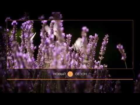 Видео: Телекомпания "СТРИМ" - Новый сезон [сентябрь 2015]