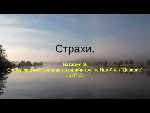 Видео: Наталия Э. Страхи. Спикерское выступление на онлайн-группе Нар-Анон "Доверие" 30.07.23