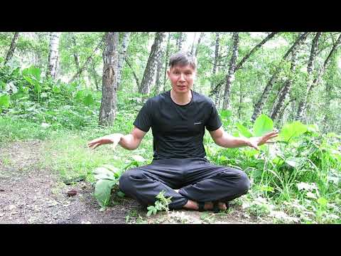 Видео: Как насытить себя энергией?   Мастер Цигун раскрывает секреты практики! . #цигун