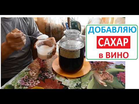Видео: Сколько ВОДЫ и САХАРА добавить в ВИНО
