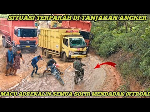 Видео: Вдруг бездорожье!! Все водители грузовиков испытывают адреналин при проезде по очень скользким дорог