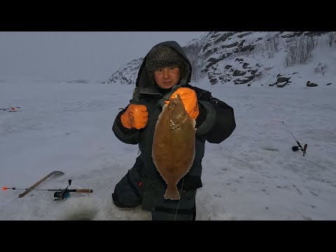 Видео: МОРСКАЯ РЫБА СО ЛЬДА / ЧЕМ ХУЖЕ ПОГОДА, ТЕМ ЛУЧШЕ КЛЁВ / SEA FISH FROM ICE