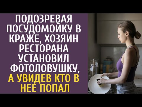 Видео: Подозревая посудомойку в краже, хозяин ресторана установил фотоловушку, а увидев кто в нее попал