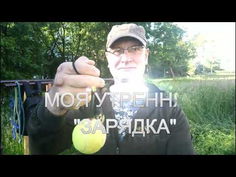 Видео: УТРЕННЯЯ ТРЕНИРОВКА СТАРОГО ВОИНА