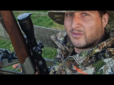 Видео: BLASER R93 3006spr ПРОВЕРКА НА 500М