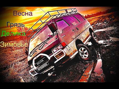 Видео: #Делика по бездорожью / Уехали в лесную избу / засолили солонец